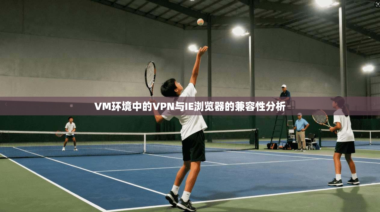 VM环境中的VPN与IE浏览器的兼容性分析