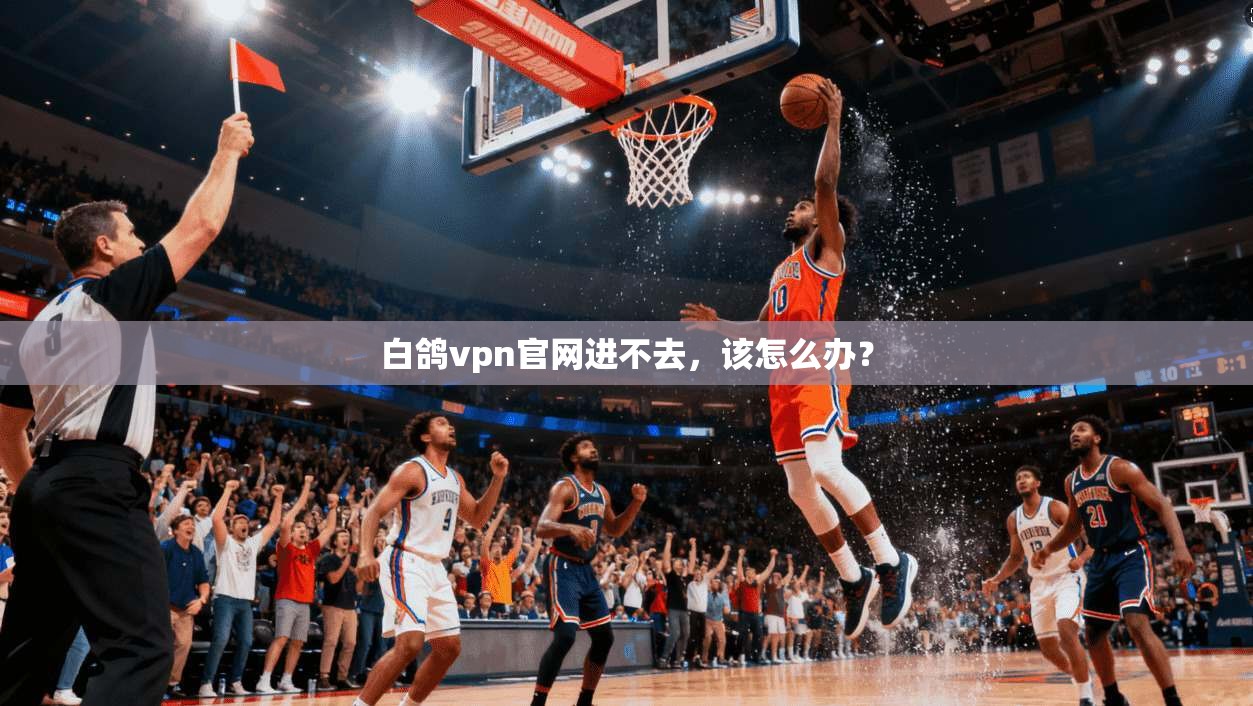 白鸽vpn官网进不去，该怎么办？