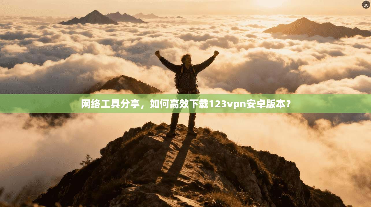 网络工具分享，如何高效下载123vpn安卓版本？