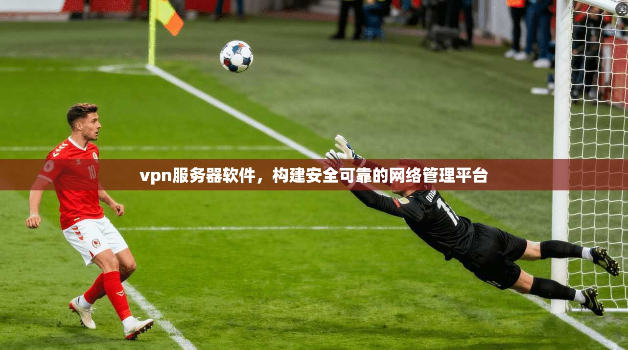 vpn服务器软件，构建安全可靠的网络管理平台
