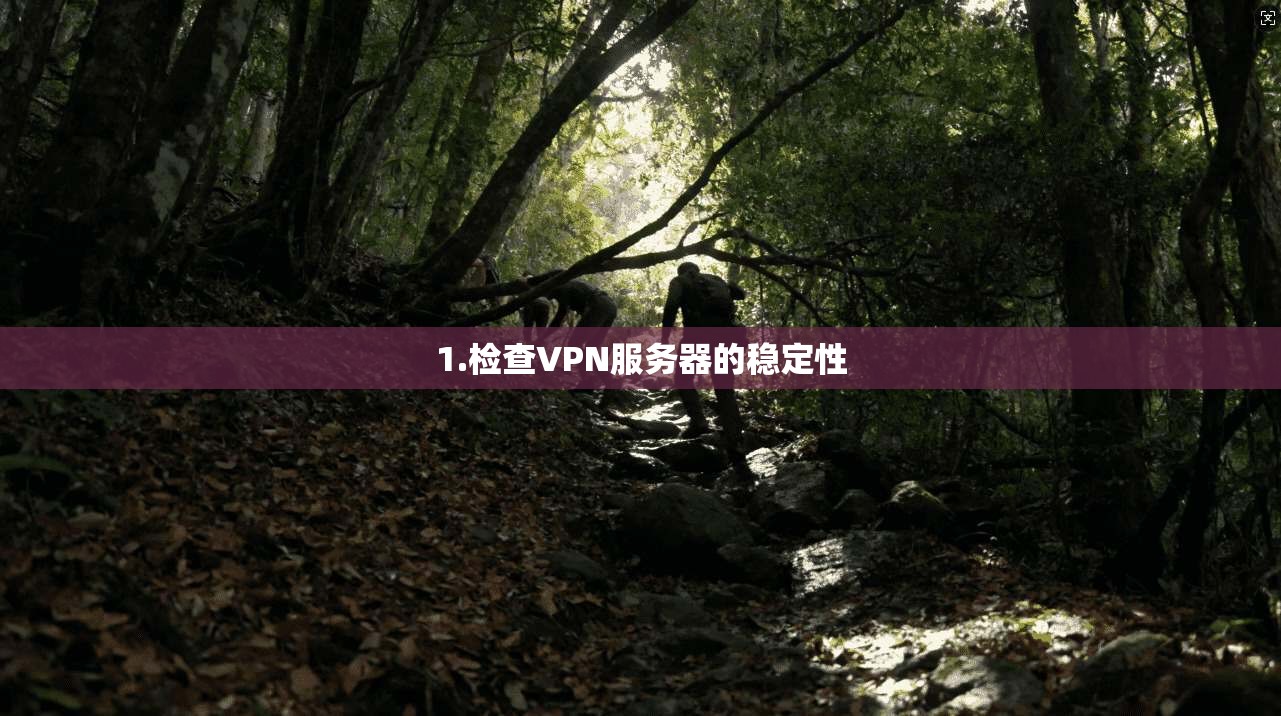 1.检查VPN服务器的稳定性