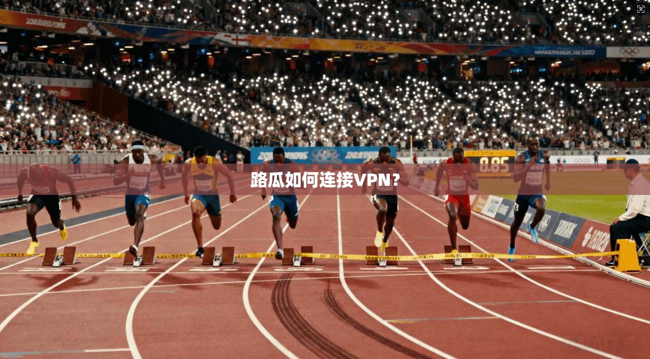 路瓜如何连接VPN？