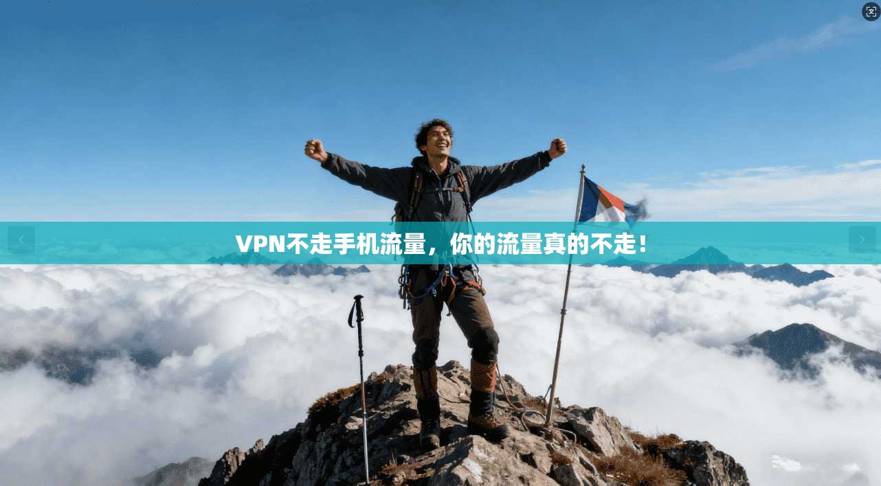 VPN不走手机流量，你的流量真的不走！