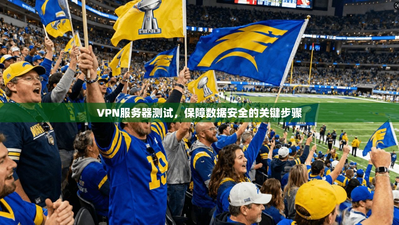 VPN服务器测试,保障数据安全的关键步骤