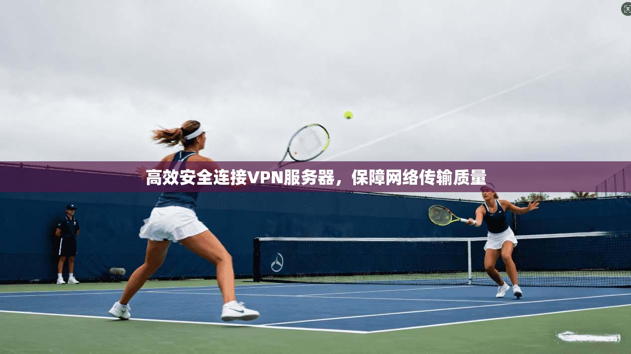 高效安全连接VPN服务器，保障网络传输质量