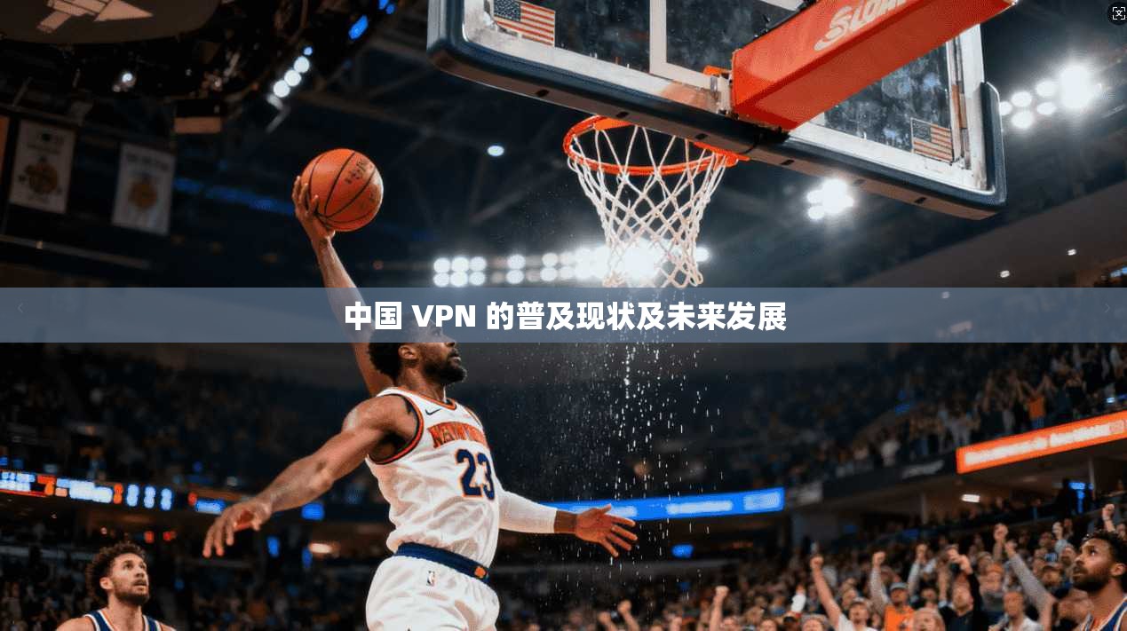 中国 VPN 的普及现状及未来发展