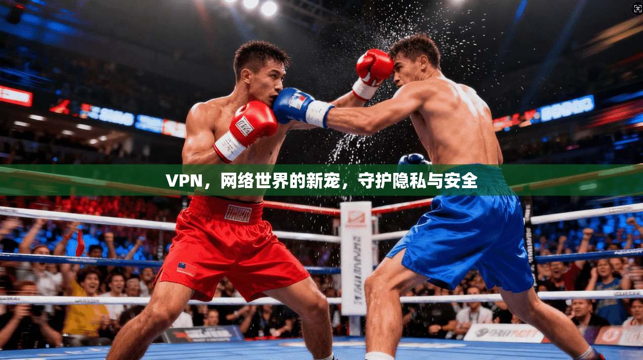 VPN，网络世界的新宠，守护隐私与安全