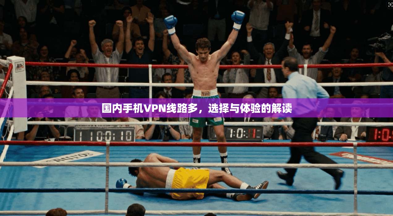 国内手机VPN线路多,选择与体验的解读