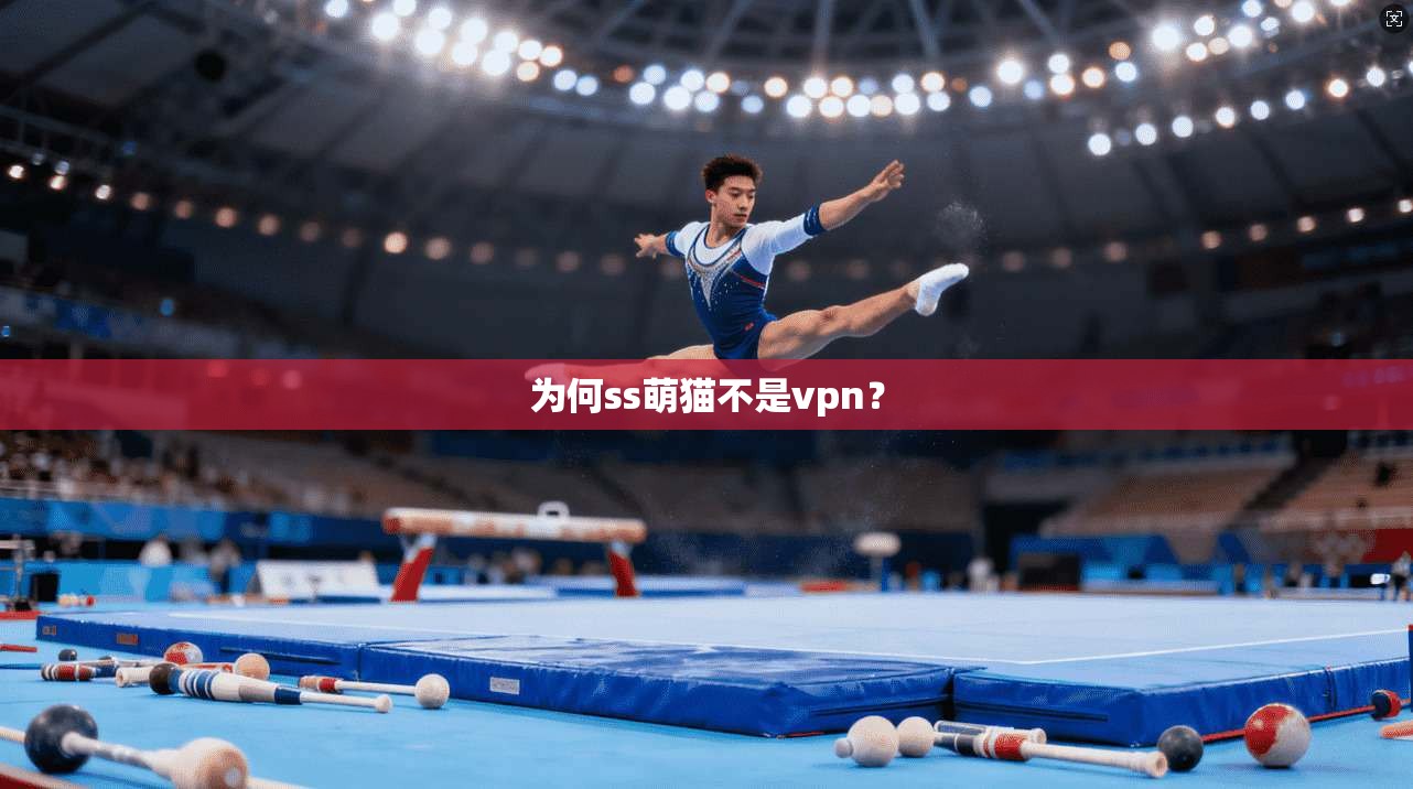 为何ss萌猫不是vpn？