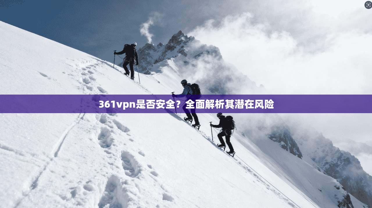 361vpn是否安全?全面解析其潜在风险