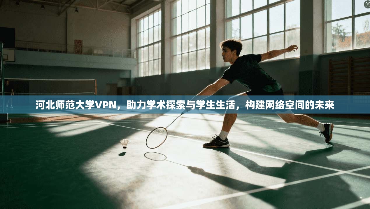 河北师范大学VPN，助力学术探索与学生生活，构建网络空间的未来