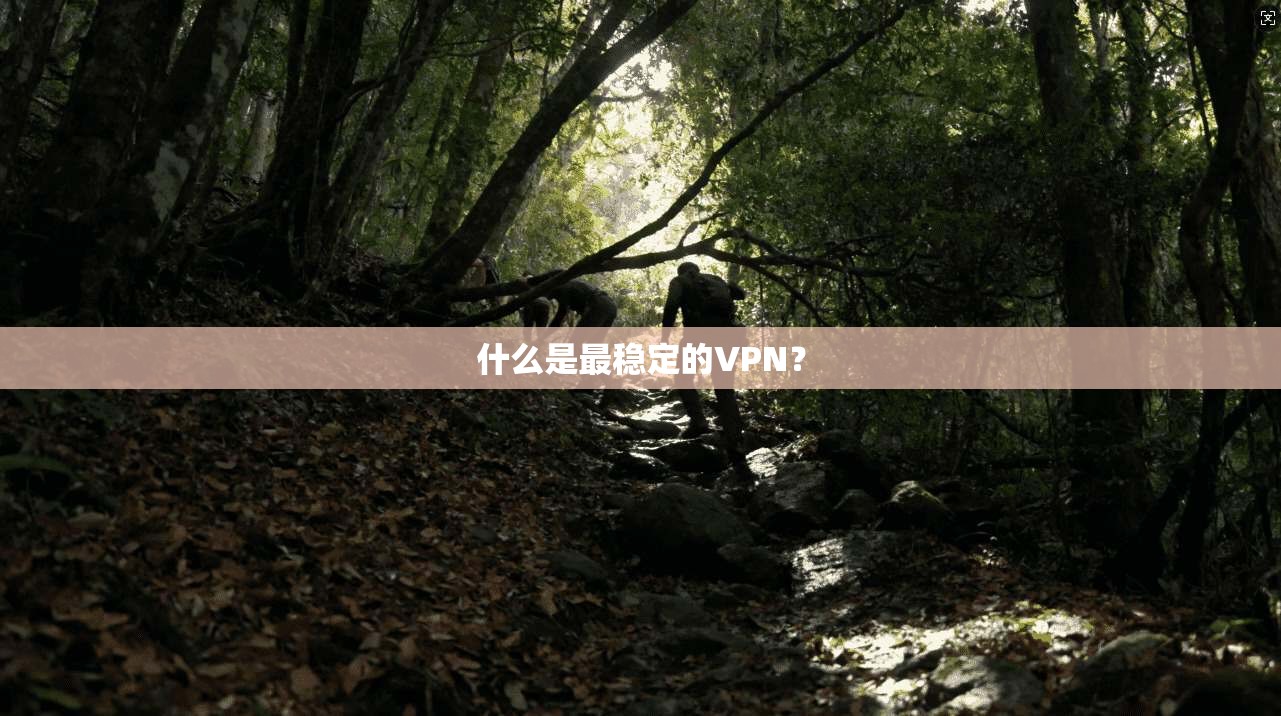 什么是最稳定的VPN?