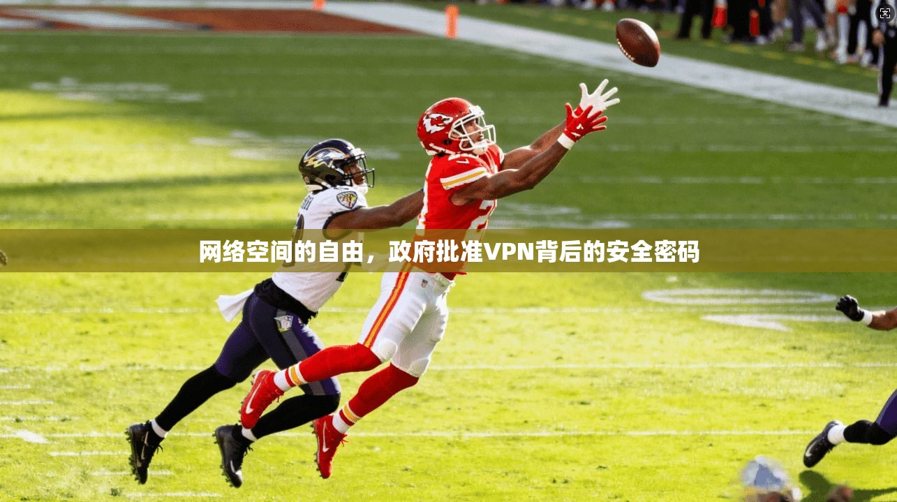 网络空间的自由，政府批准VPN背后的安全密码