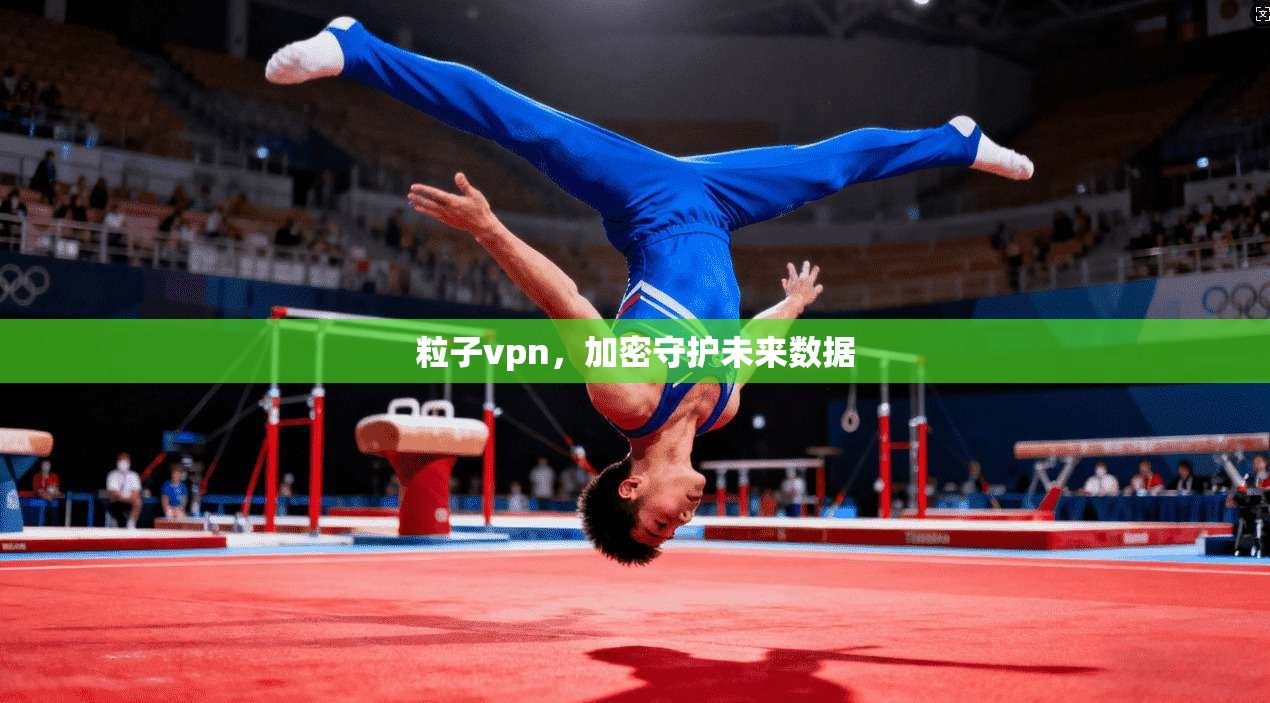 粒子vpn，加密守护未来数据