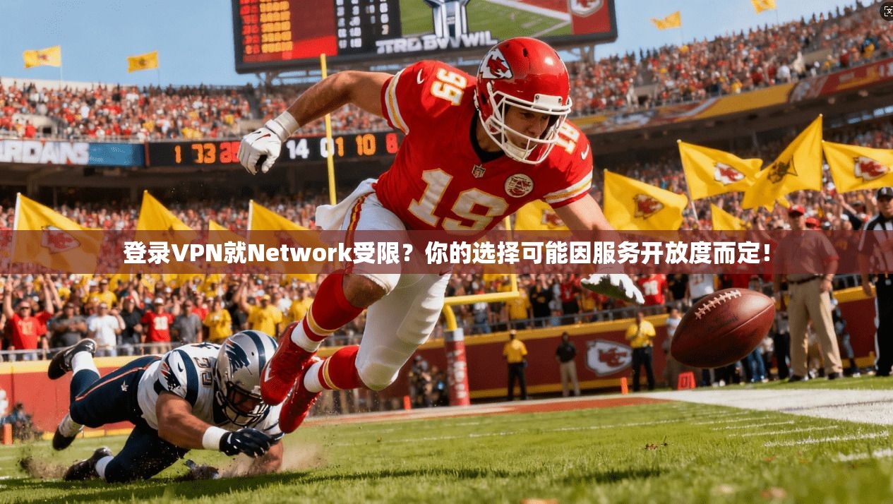 登录VPN就Network受限？你的选择可能因服务开放度而定！