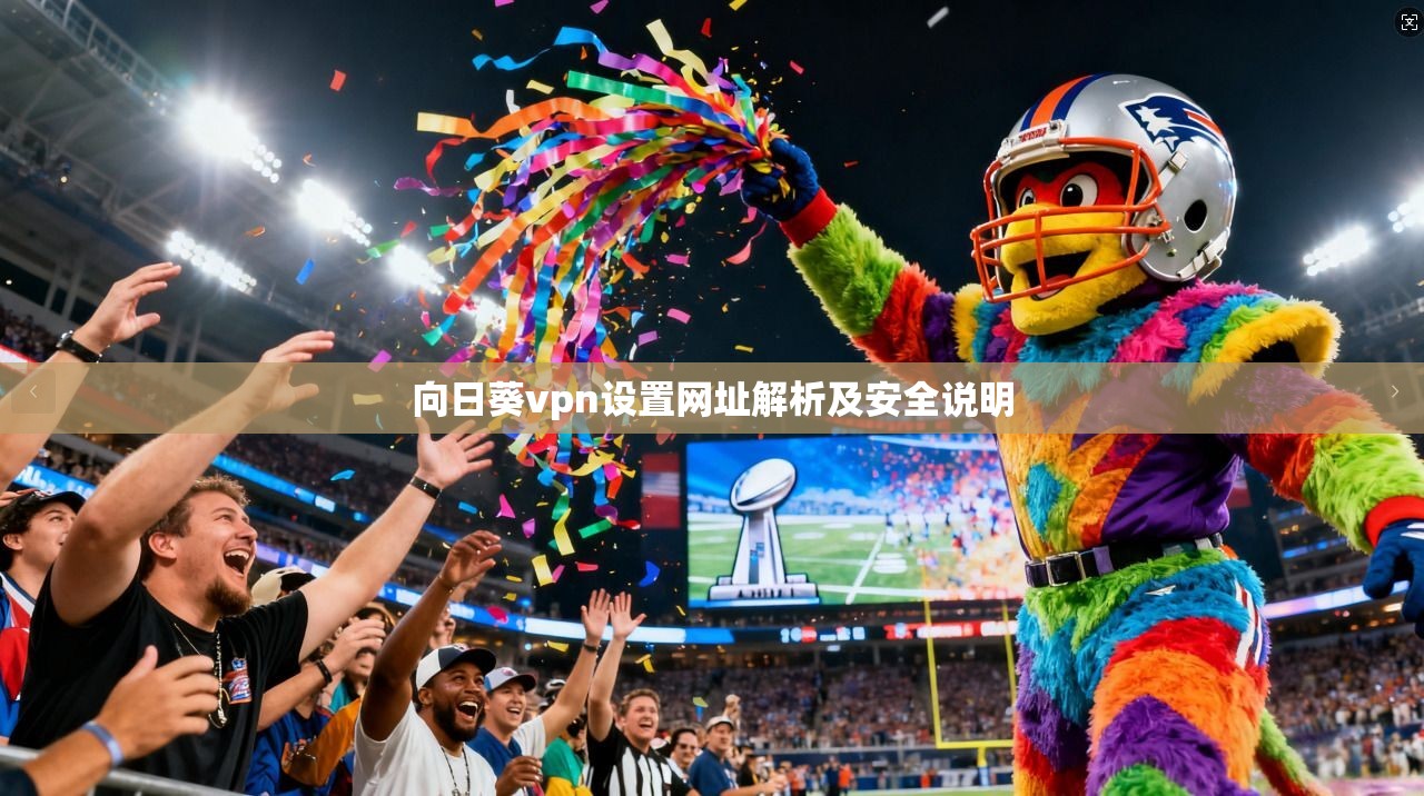 向日葵vpn设置网址解析及安全说明