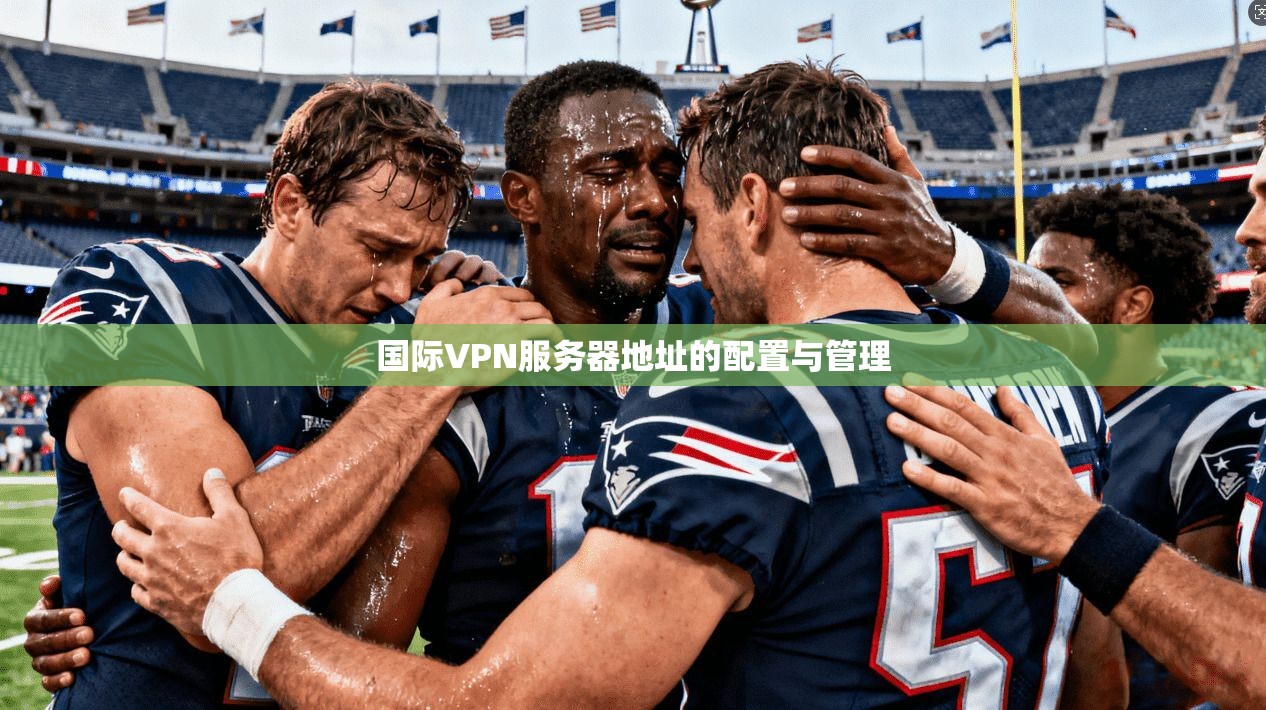 国际VPN服务器地址的配置与管理