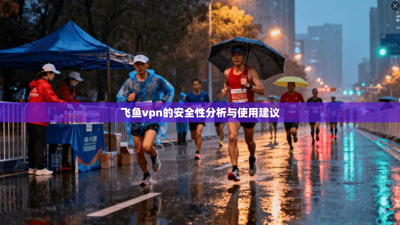 飞鱼vpn的安全性分析与使用建议