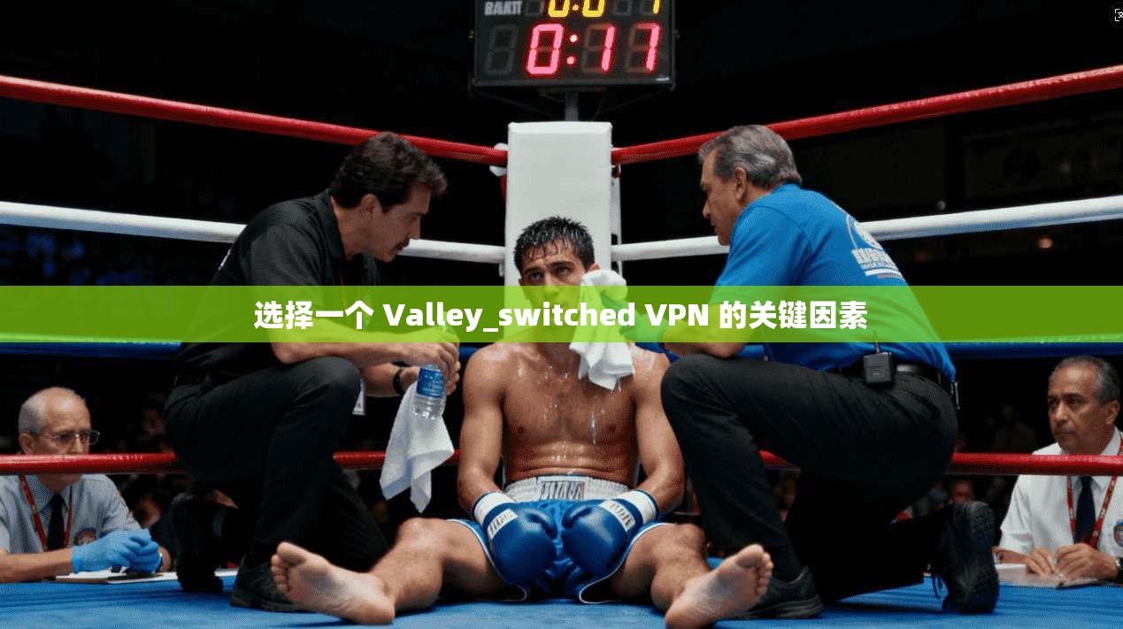选择一个 Valley_switched VPN 的关键因素