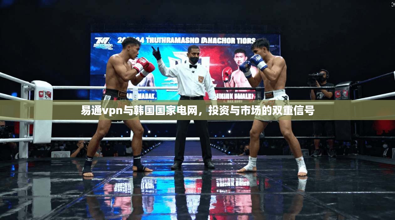易通vpn与韩国国家电网，投资与市场的双重信号