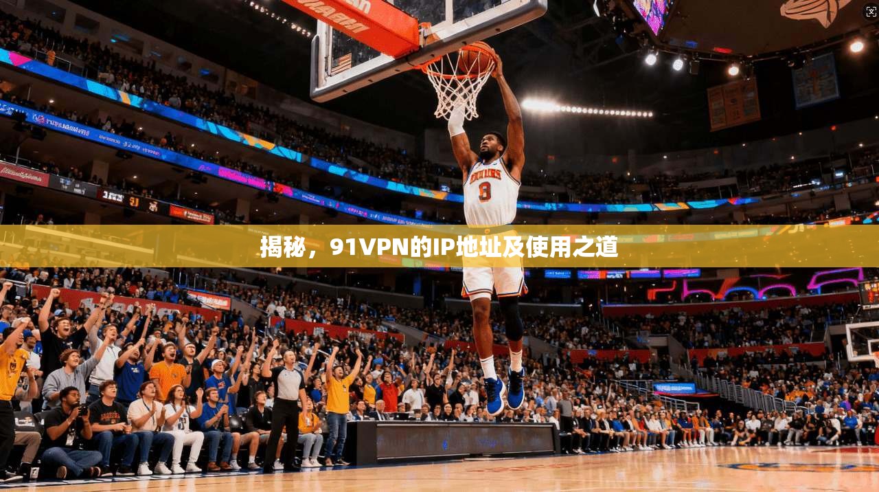 揭秘，91VPN的IP地址及使用之道