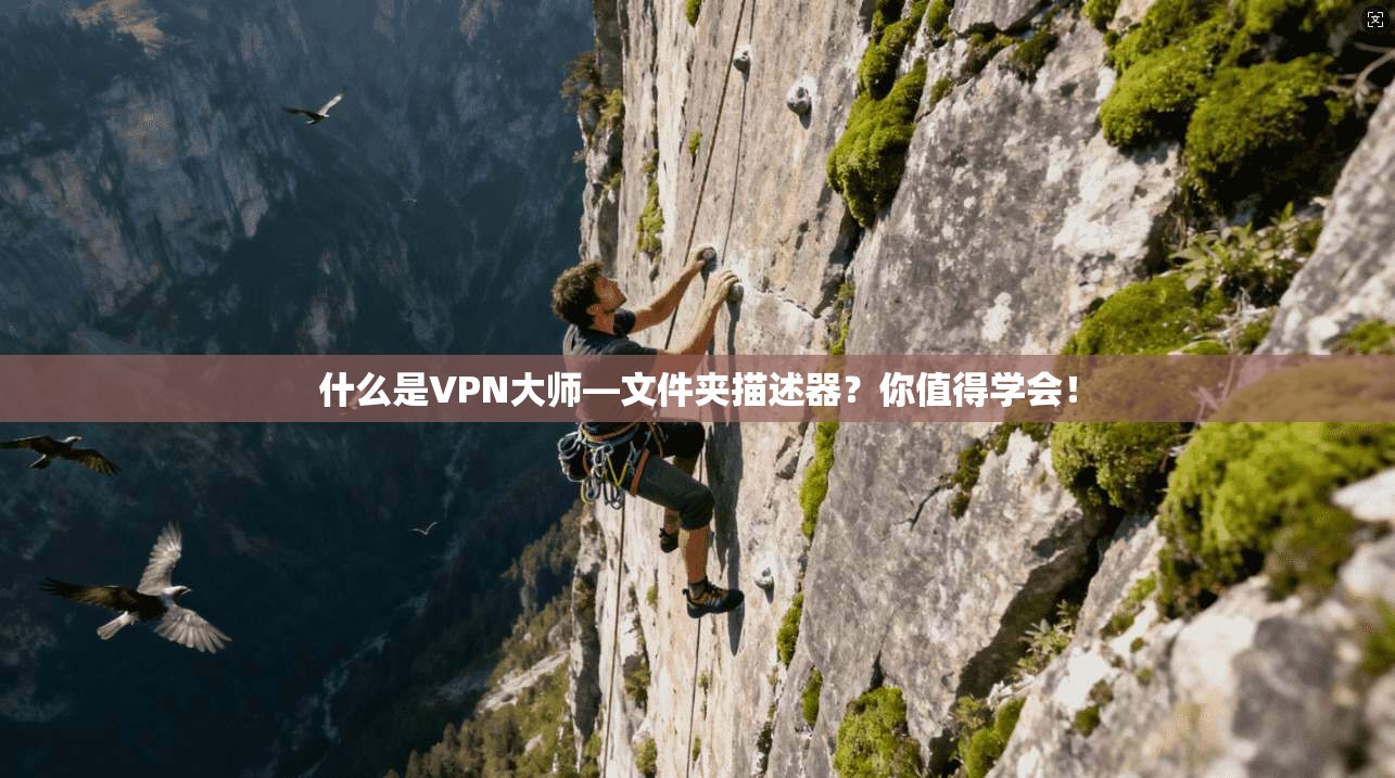 什么是VPN大师—文件夹描述器?你值得学会!