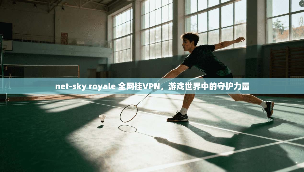 net-sky royale 全网挂VPN,游戏世界中的守护力量