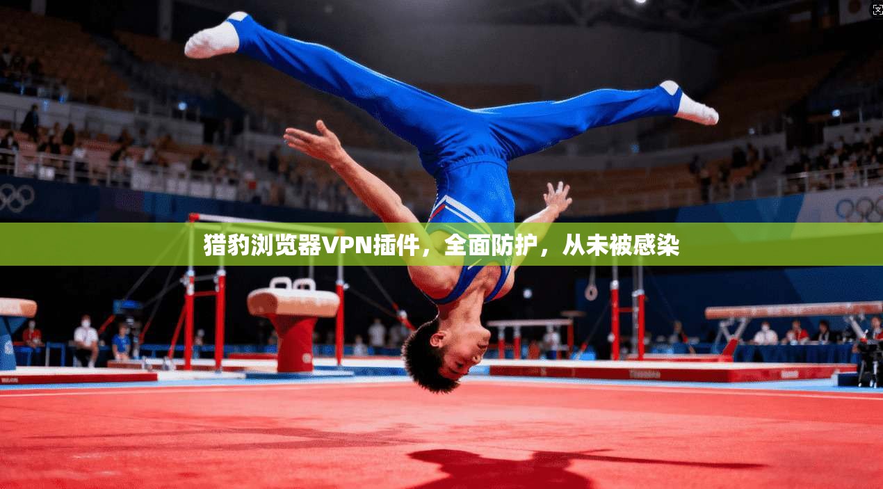 猎豹浏览器VPN插件，全面防护，从未被感染