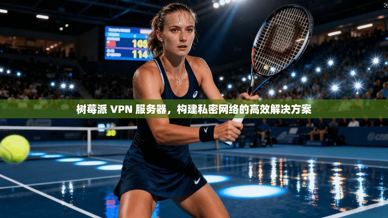 树莓派 VPN 服务器，构建私密网络的高效解决方案