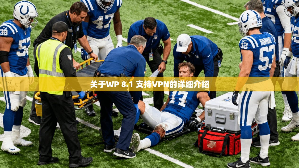 关于WP 8.1 支持VPN的详细介绍
