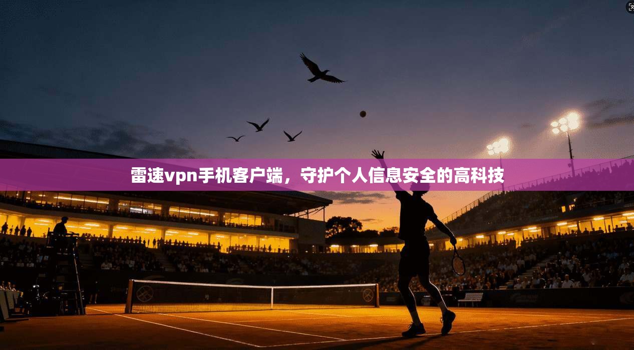 雷速vpn手机客户端,守护个人信息安全的高科技