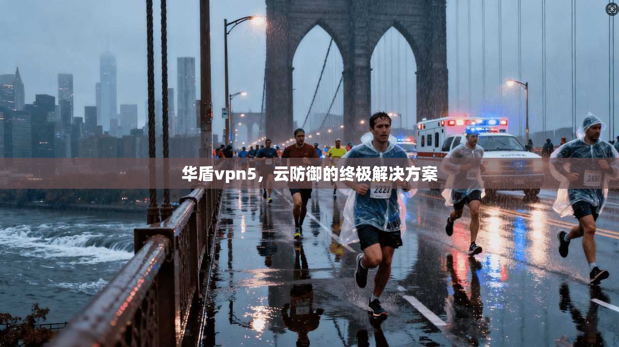 华盾vpn5，云防御的终极解决方案