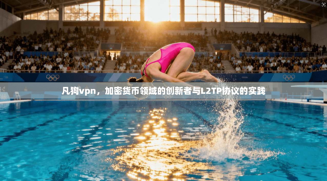 凡狗vpn，加密货币领域的创新者与L2TP协议的实践