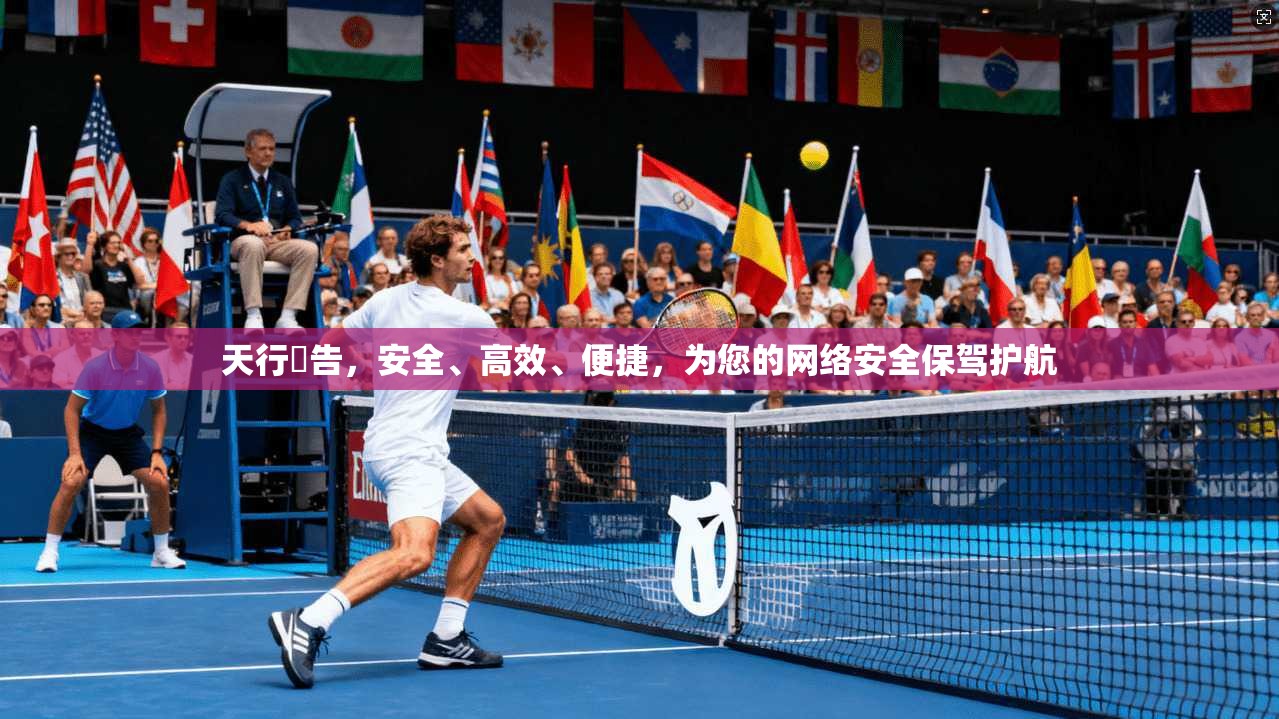 天行廣告，安全、高效、便捷，为您的网络安全保驾护航