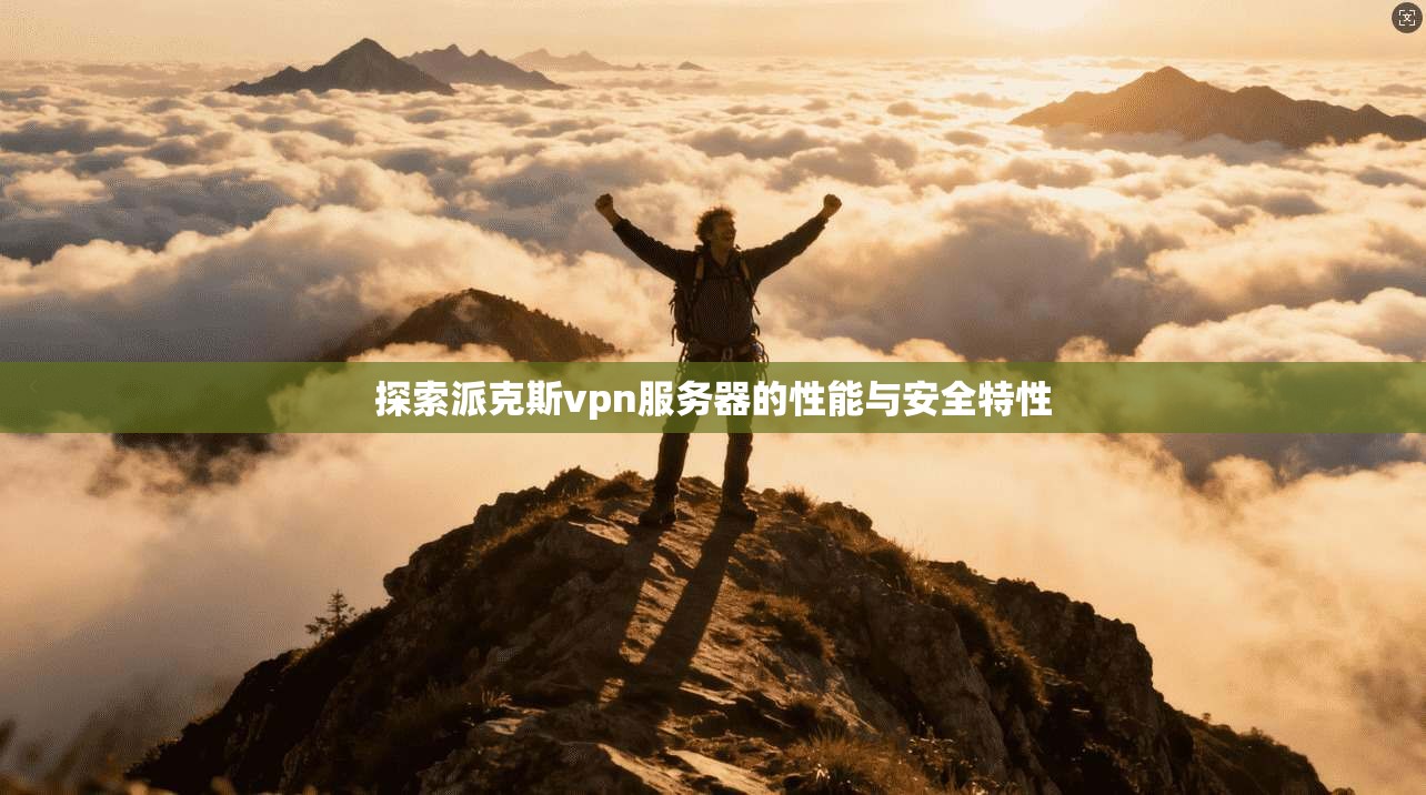 探索派克斯vpn服务器的性能与安全特性