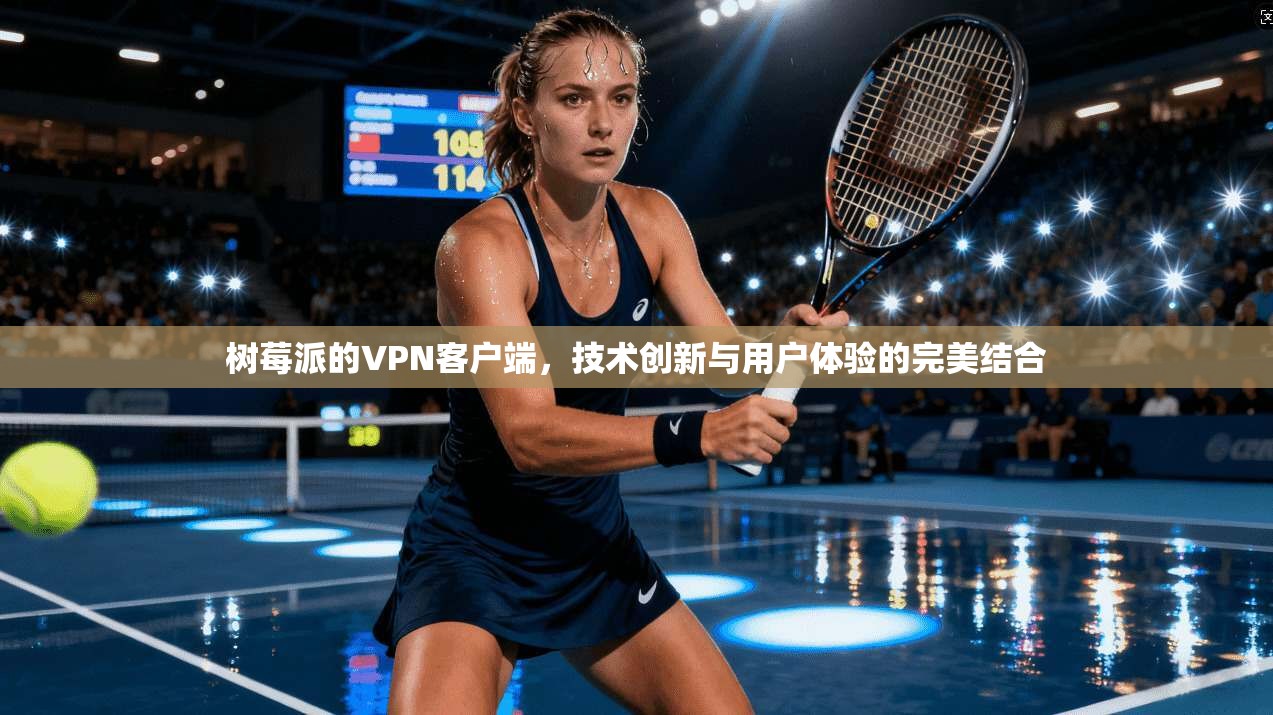 树莓派的VPN客户端,技术创新与用户体验的完美结合