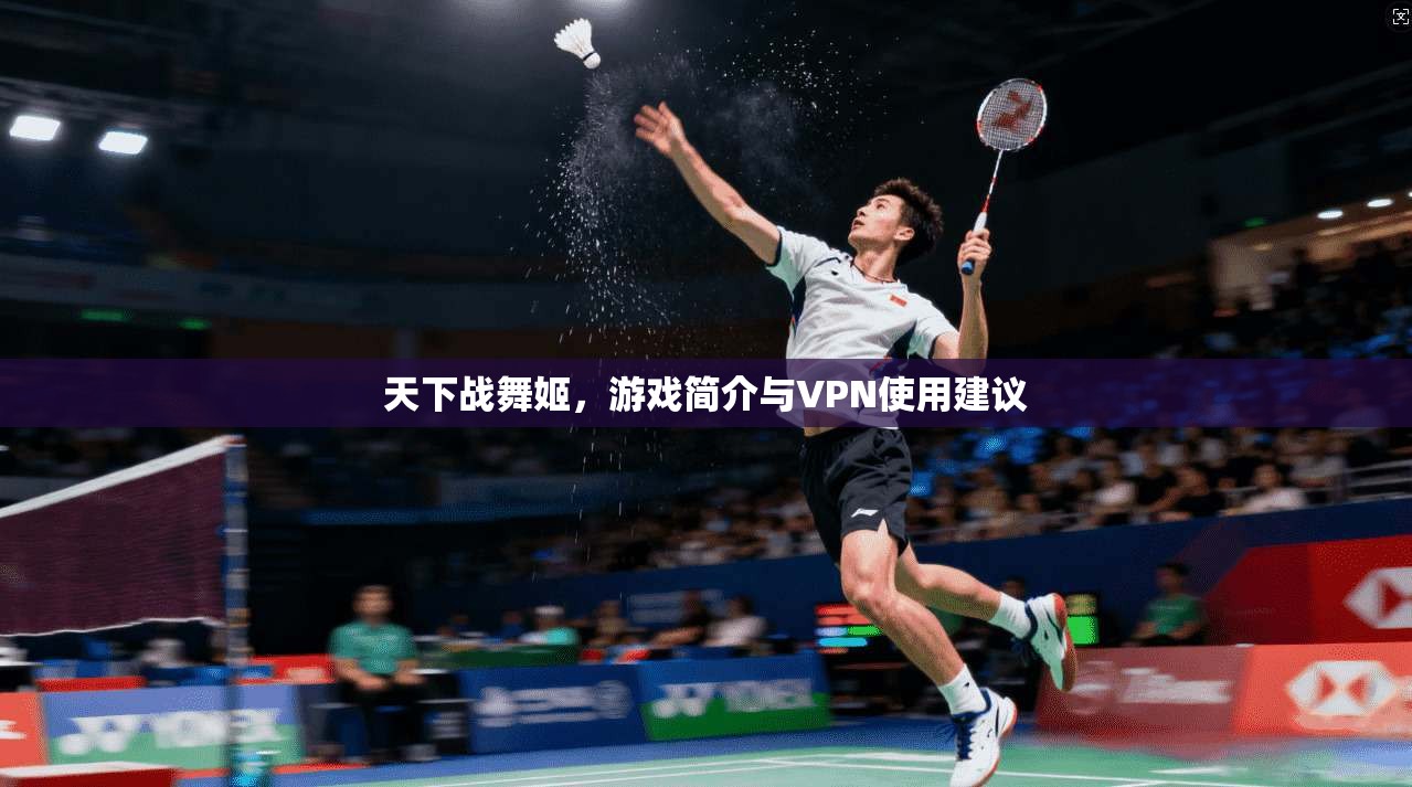 天下战舞姬,游戏简介与VPN使用建议