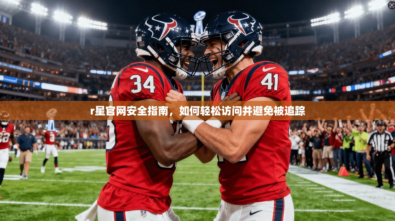 r星官网安全指南,如何轻松访问并避免被追踪