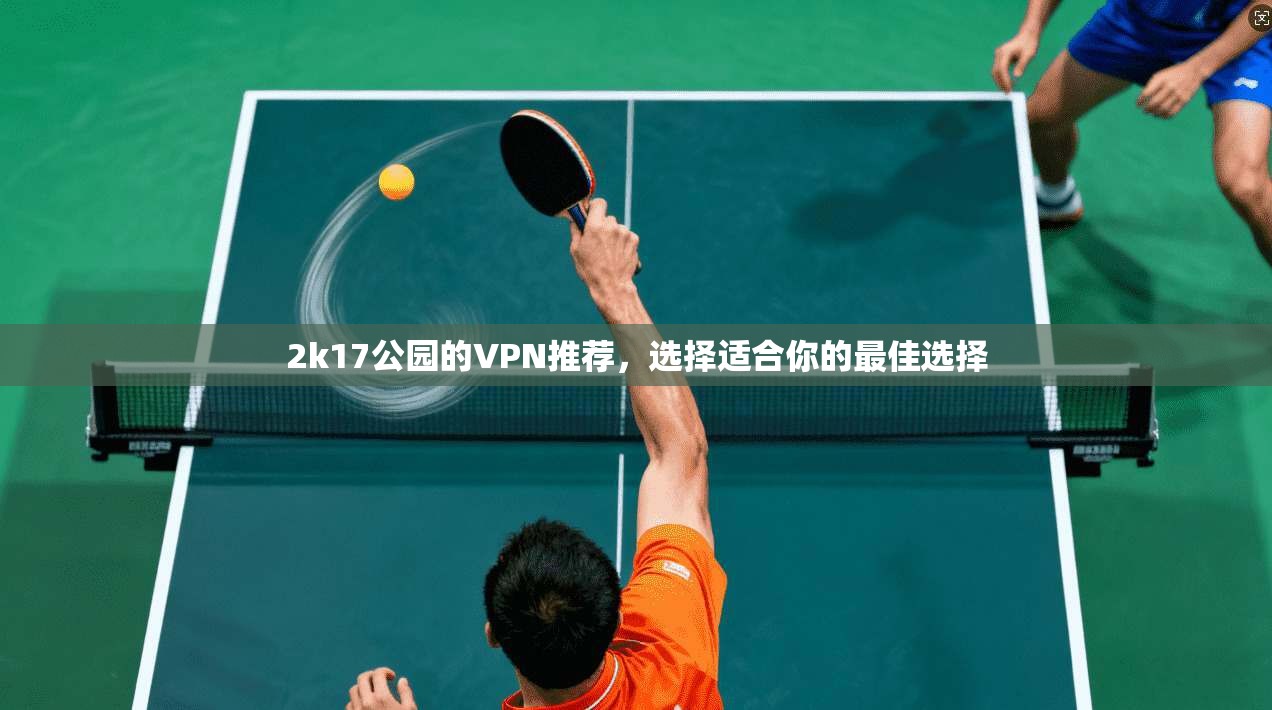 2k17公园的VPN推荐，选择适合你的最佳选择