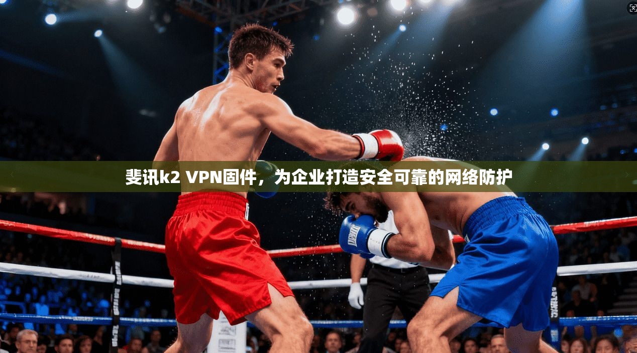 斐讯k2 VPN固件，为企业打造安全可靠的网络防护