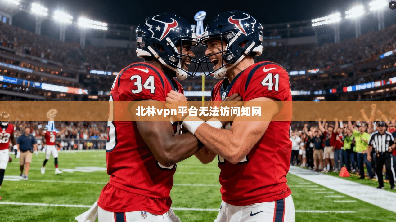 北林vpn平台无法访问知网