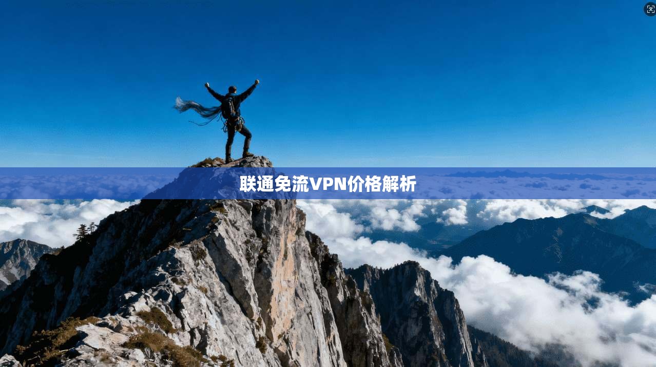 联通免流VPN价格解析