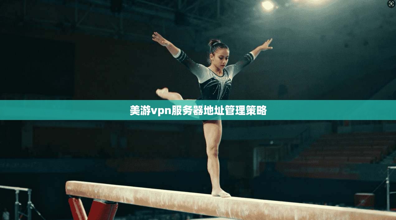 美游vpn服务器地址管理策略