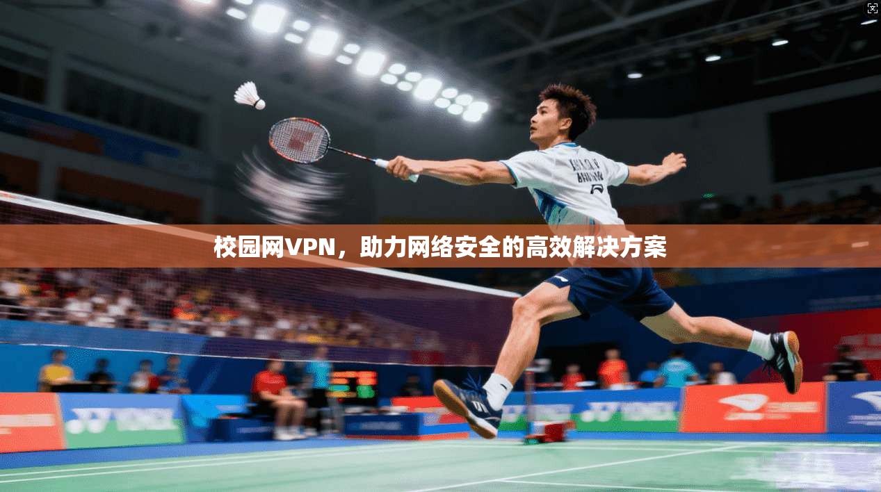 校园网VPN，助力网络安全的高效解决方案