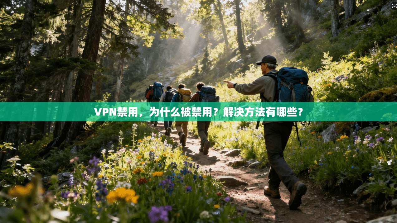 VPN禁用,为什么被禁用?解决方法有哪些?