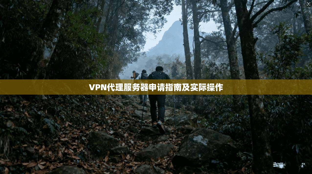 VPN代理服务器申请指南及实际操作