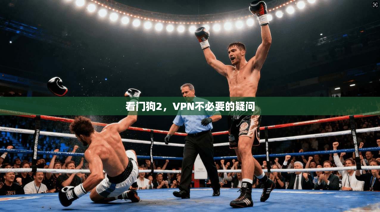 看门狗2，VPN不必要的疑问