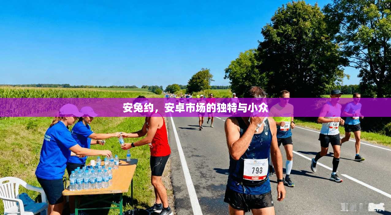 安兔约,安卓市场的独特与小众