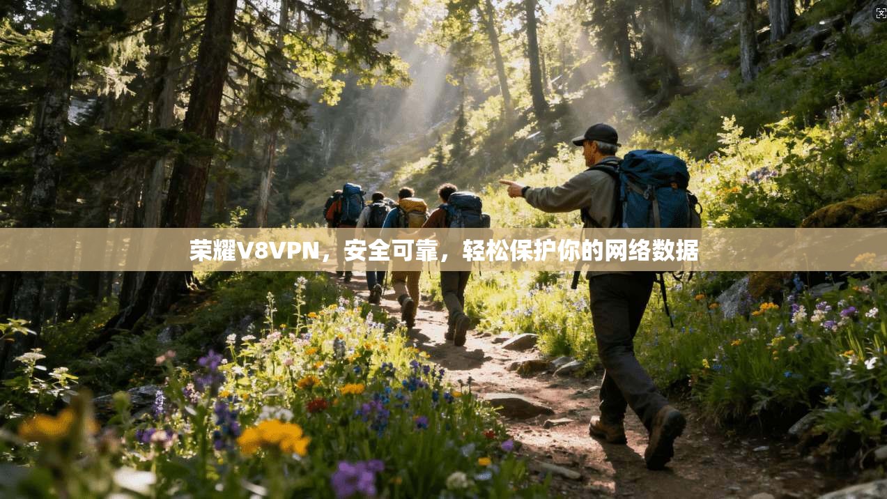 荣耀V8VPN，安全可靠，轻松保护你的网络数据
