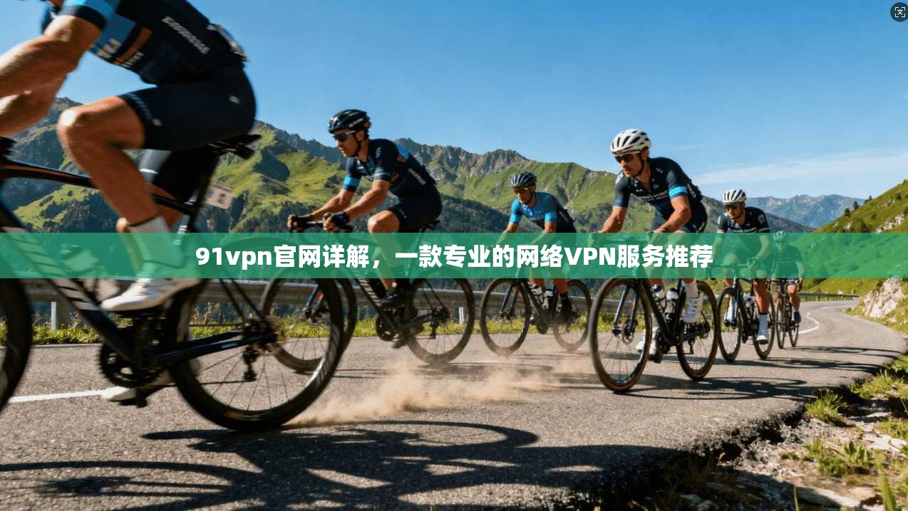 91vpn官网详解，一款专业的网络VPN服务推荐